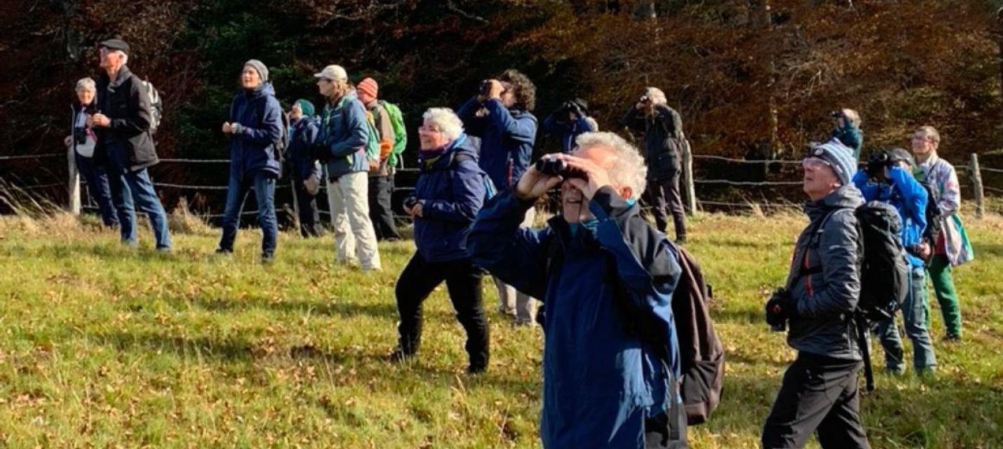 Ornithologischer einführungskurs 2020; Exkursion auf die Ulmethöchi, betrachtung von Durchzüglern