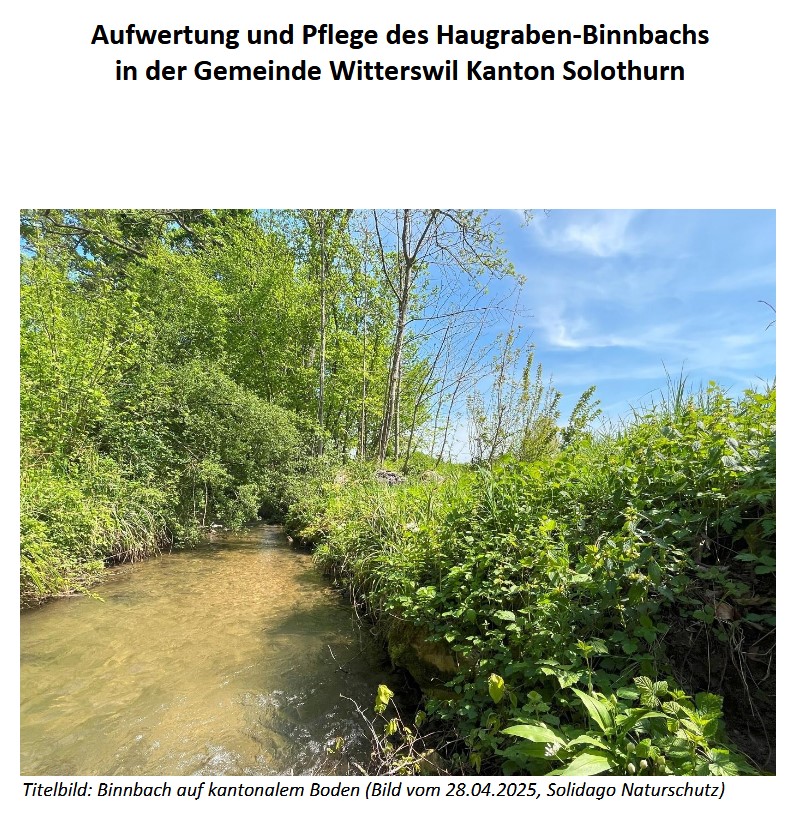 Aufwertungsprojekt am Binnbach