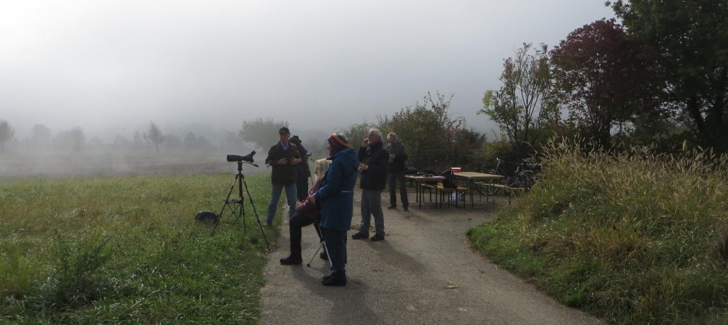 Im Nebel sieht man keine Vögel, auch mit Fernrohr nicht
