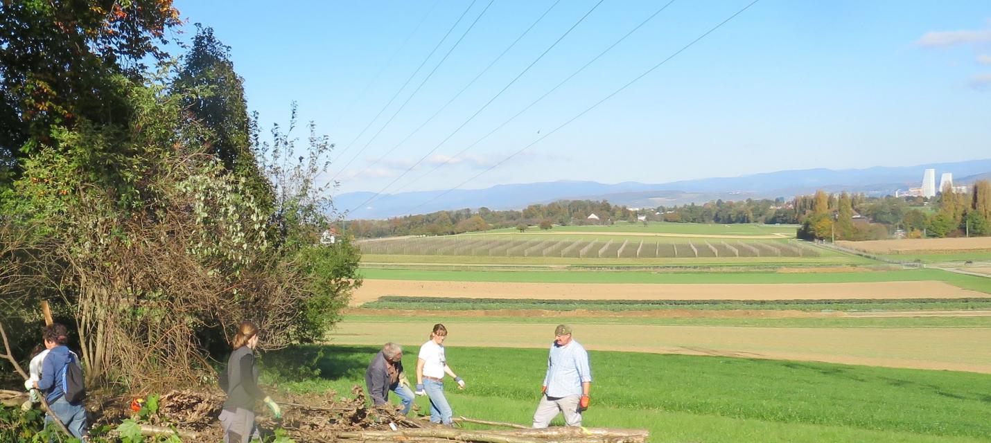 Asthaufen mit Rochetower und blauem Hintergrund