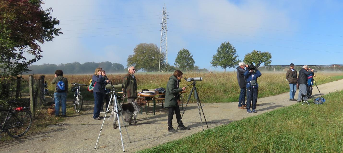 Zugvogelbeobachtung am Bielhübel